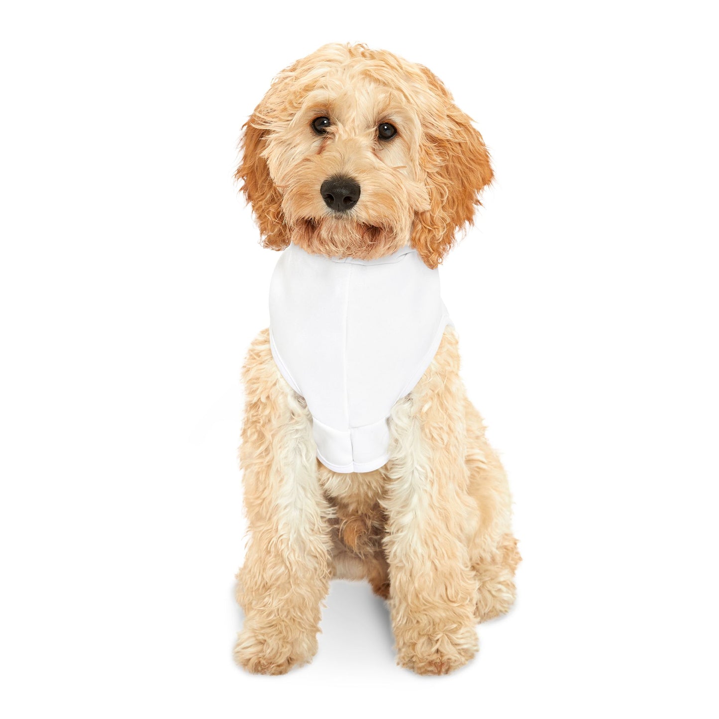 ‘Spoiled’ Pet Hoodie